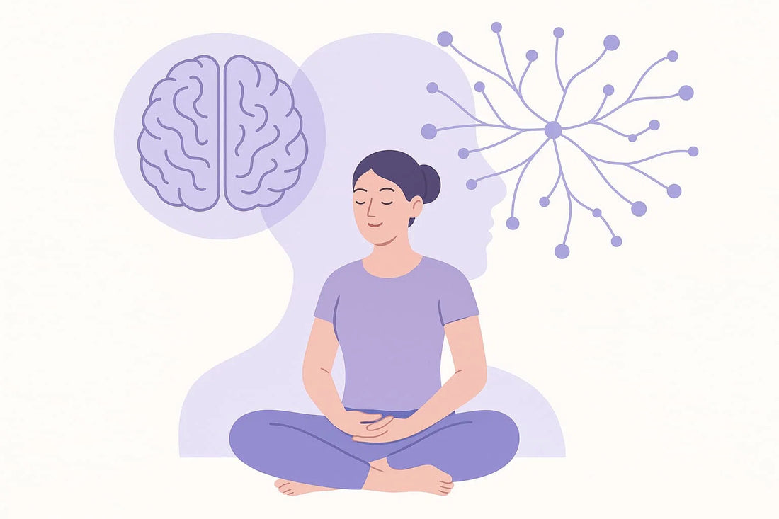 Meditation und Gehirn: Neurologische Effekte verstehen