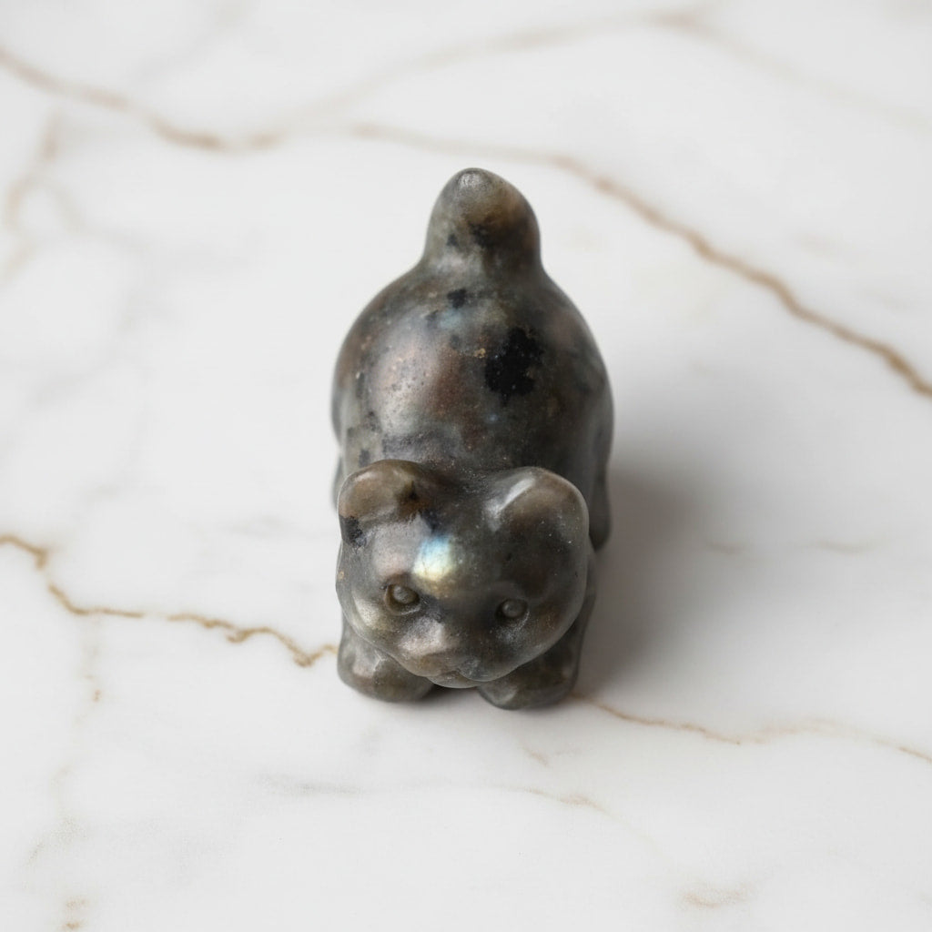 Labradorit Katze – Schillernde Farbreflexe CrystalScents