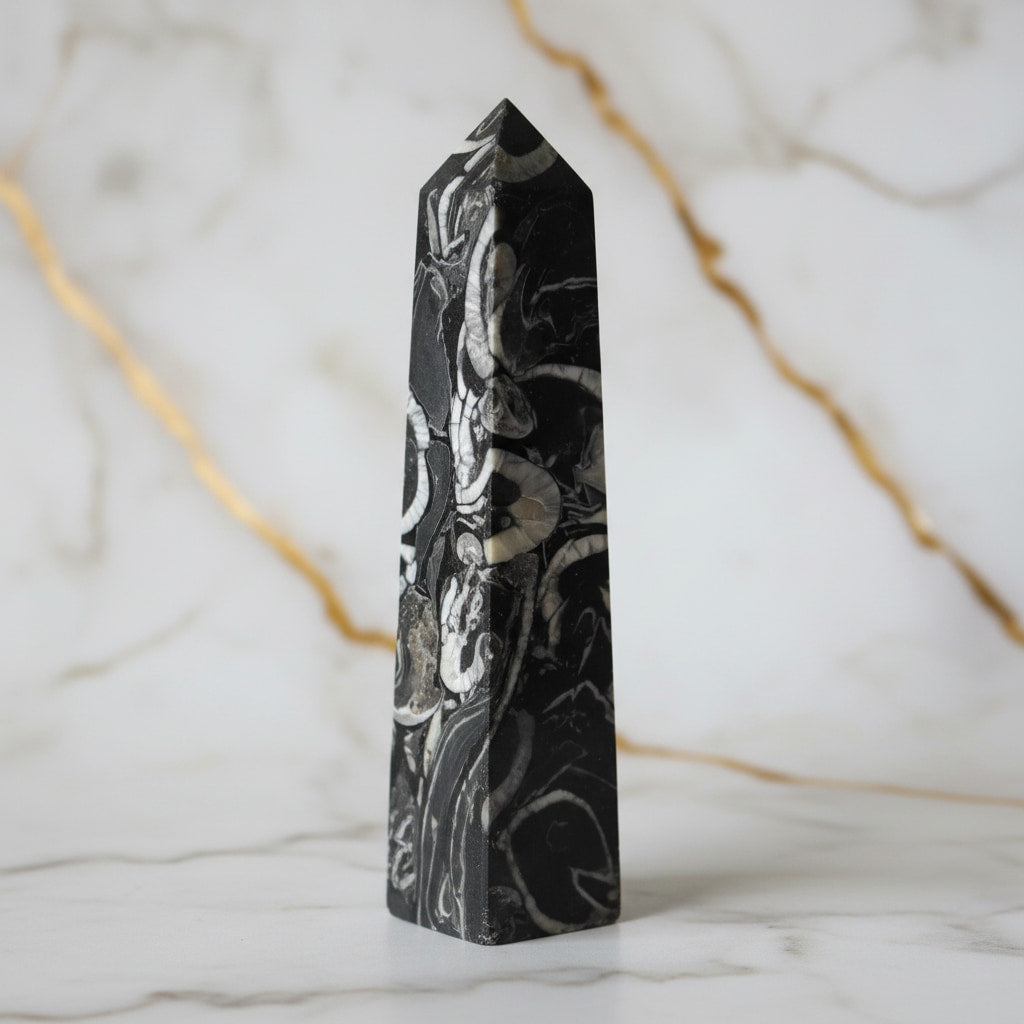 Muschel Jaspis Obelisk - Fossile Muster CrystalScents