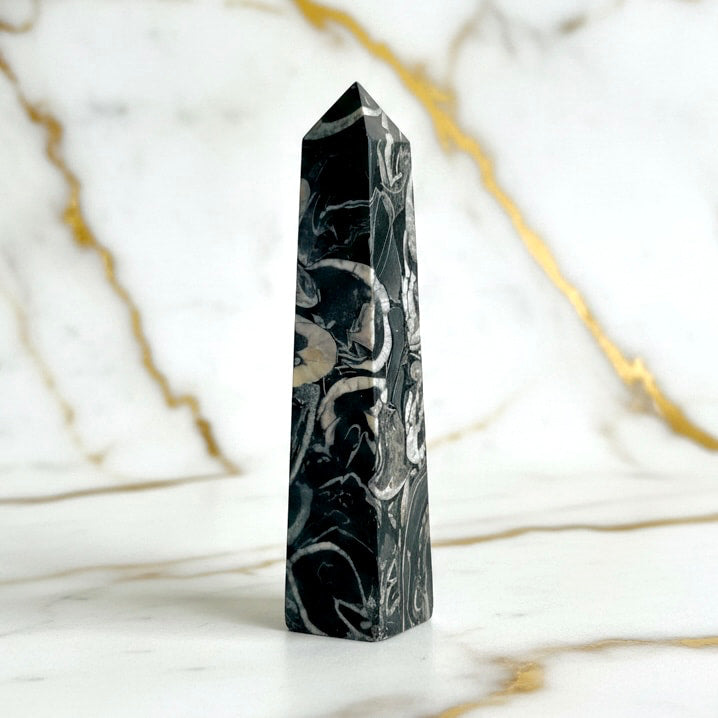 Muschel Jaspis Obelisk - Fossile Muster CrystalScents
