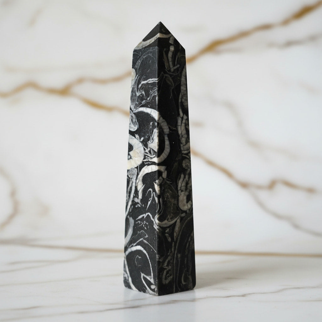 Muschel Jaspis Obelisk - Fossile Muster CrystalScents