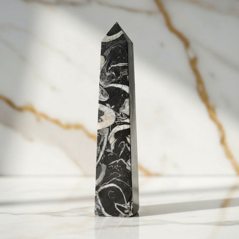 Muschel Jaspis Obelisk - Fossile Muster CrystalScents