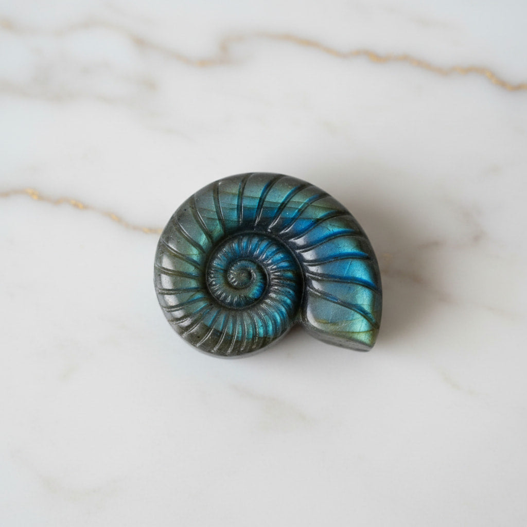 Labradorit Nautilus – Verbindung von Natur & Eleganz CrystalScents