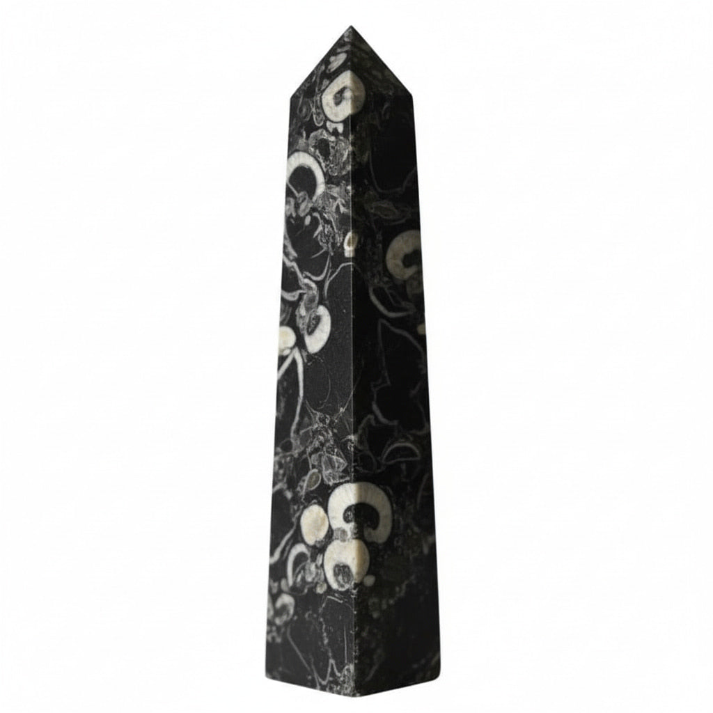 Muschel Jaspis Obelisk - Fossile Muster CrystalScents