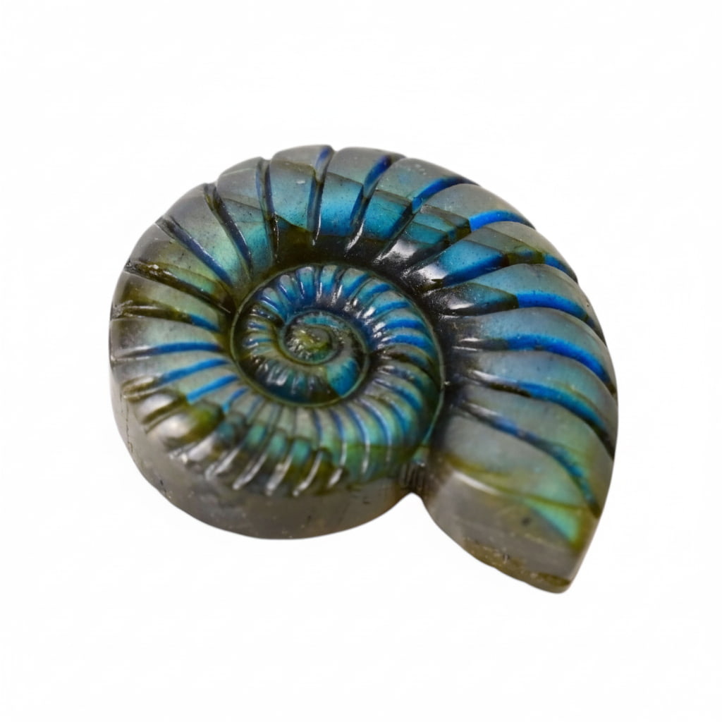 Labradorit Nautilus – Verbindung von Natur & Eleganz CrystalScents
