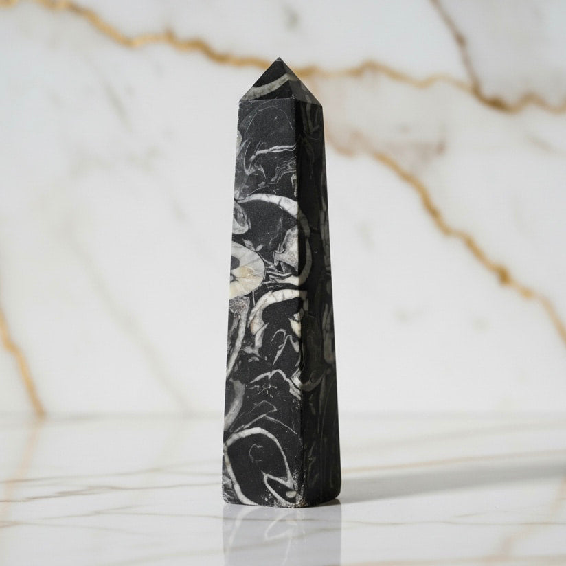 Muschel Jaspis Obelisk - Fossile Muster CrystalScents