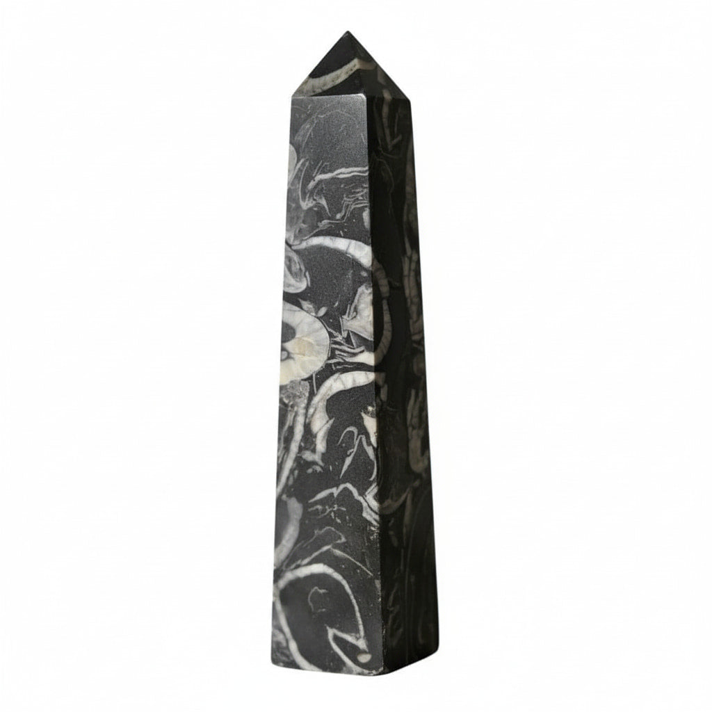 Muschel Jaspis Obelisk - Fossile Muster CrystalScents