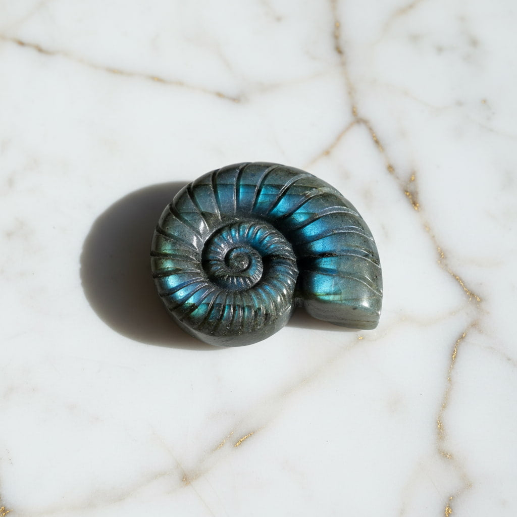 Labradorit Nautilus – Verbindung von Natur & Eleganz CrystalScents