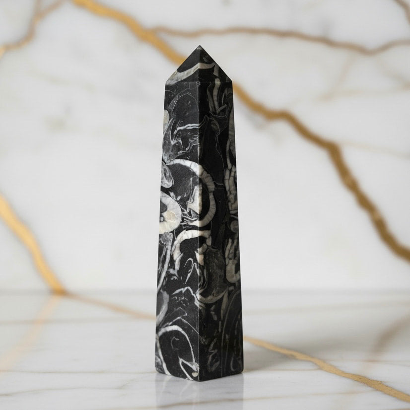 Muschel Jaspis Obelisk - Fossile Muster CrystalScents