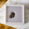 Meteorit „Campo Del Cielo“ aus Argentinien CrystalScents