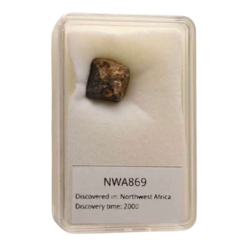 Meteorit „Nordwest-Afrika“ – Ein seltener Schatz CrystalScents